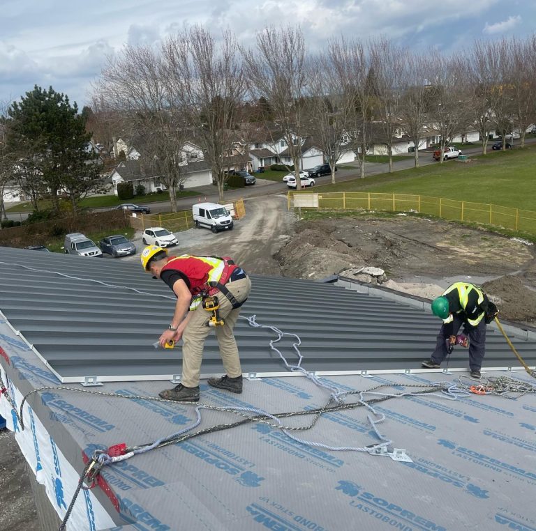 Alpha Nova Roofing professionals securely installing a metal roof, equipped with safety gear.