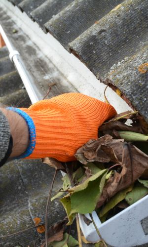 Gutter cleaning services in Lower Mainland, Metro Vancouver & Fraser Valley