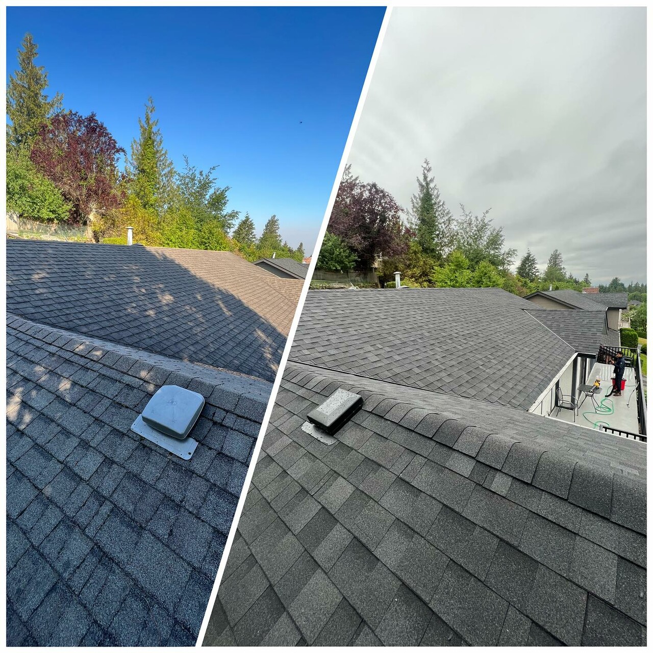 Upgraded residential roofs by AlphaNova Roofing in Lower Mainland, Metro Vancouver, Fraser Valley before and after our services.